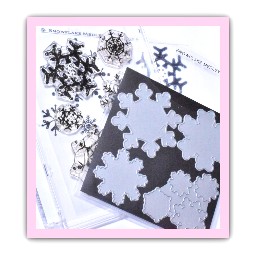 Papertrey Ink Vol. 6 No. 91 Snowflake Medley Stamp Die Set Scrapbooking Supplies